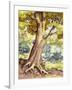 A Tree Full of Wildlife-Pat Nicolle-Framed Giclee Print