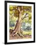 A Tree Full of Wildlife-Pat Nicolle-Framed Giclee Print