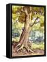 A Tree Full of Wildlife-Pat Nicolle-Framed Stretched Canvas