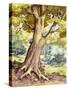 A Tree Full of Wildlife-Pat Nicolle-Stretched Canvas