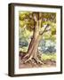 A Tree Full of Wildlife-Pat Nicolle-Framed Giclee Print