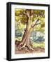 A Tree Full of Wildlife-Pat Nicolle-Framed Giclee Print