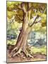 A Tree Full of Wildlife-Pat Nicolle-Mounted Giclee Print