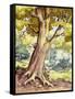 A Tree Full of Wildlife-Pat Nicolle-Framed Stretched Canvas