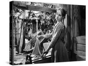 A Tree Grows In Brooklyn, Peggy Ann Garner, 1945-null-Stretched Canvas