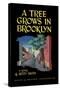 A Tree Grows In Brooklyn-null-Stretched Canvas