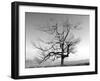 A Tree in a Bleak Location-Rip Smith-Framed Photographic Print