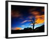 A Tree in Richmond Park at Night with Fast Moving Clouds-Alex Saberi-Framed Photographic Print