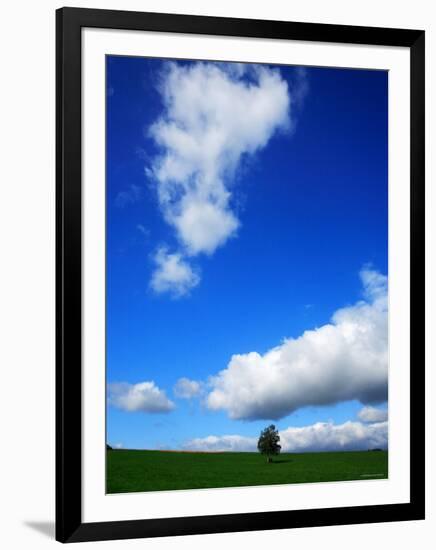 A Tree in the Meadow-null-Framed Photographic Print