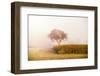 A tree in the Mist-Philippe Sainte-Laudy-Framed Photographic Print