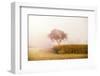 A tree in the Mist-Philippe Sainte-Laudy-Framed Photographic Print