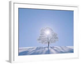 A Tree in the Snow Field-null-Framed Photographic Print