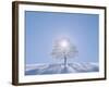 A Tree in the Snow Field-null-Framed Photographic Print
