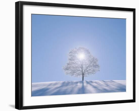 A Tree in the Snow Field-null-Framed Photographic Print