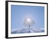 A Tree in the Snow Field-null-Framed Photographic Print