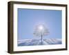 A Tree in the Snow Field-null-Framed Photographic Print