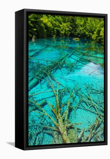 A Tree inside a Beautiful Turkouise Five Flower Lake Lake in Jiuzhaigou National Park in Sichuan,-AarStudio-Framed Stretched Canvas
