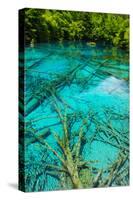 A Tree inside a Beautiful Turkouise Five Flower Lake Lake in Jiuzhaigou National Park in Sichuan,-AarStudio-Stretched Canvas