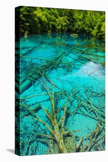 A Tree inside a Beautiful Turkouise Five Flower Lake Lake in Jiuzhaigou National Park in Sichuan,-AarStudio-Stretched Canvas