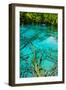 A Tree inside a Beautiful Turkouise Five Flower Lake Lake in Jiuzhaigou National Park in Sichuan,-AarStudio-Framed Photographic Print