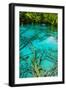 A Tree inside a Beautiful Turkouise Five Flower Lake Lake in Jiuzhaigou National Park in Sichuan,-AarStudio-Framed Photographic Print