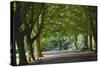 A Tree-Lined Avenue in Clifton, Bristol, England, United Kingdom, Europe-Nigel Hicks-Stretched Canvas