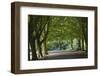 A Tree-Lined Avenue in Clifton, Bristol, England, United Kingdom, Europe-Nigel Hicks-Framed Photographic Print