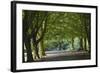 A Tree-Lined Avenue in Clifton, Bristol, England, United Kingdom, Europe-Nigel Hicks-Framed Photographic Print