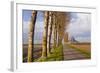 A Tree Lined Avenue Leads Towards Mont Saint Michel, UNESCO World Heritage Site, Normandy, France-Julian Elliott-Framed Photographic Print