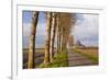 A Tree Lined Avenue Leads Towards Mont Saint Michel, UNESCO World Heritage Site, Normandy, France-Julian Elliott-Framed Photographic Print