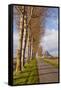 A Tree Lined Avenue Leads Towards Mont Saint Michel, UNESCO World Heritage Site, Normandy, France-Julian Elliott-Framed Stretched Canvas