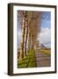 A Tree Lined Avenue Leads Towards Mont Saint Michel, UNESCO World Heritage Site, Normandy, France-Julian Elliott-Framed Premium Photographic Print