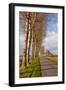 A Tree Lined Avenue Leads Towards Mont Saint Michel, UNESCO World Heritage Site, Normandy, France-Julian Elliott-Framed Premium Photographic Print