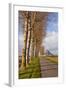 A Tree Lined Avenue Leads Towards Mont Saint Michel, UNESCO World Heritage Site, Normandy, France-Julian Elliott-Framed Photographic Print