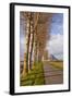 A Tree Lined Avenue Leads Towards Mont Saint Michel, UNESCO World Heritage Site, Normandy, France-Julian Elliott-Framed Photographic Print