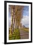 A Tree Lined Avenue Leads Towards Mont Saint Michel, UNESCO World Heritage Site, Normandy, France-Julian Elliott-Framed Photographic Print