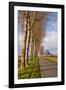 A Tree Lined Avenue Leads Towards Mont Saint Michel, UNESCO World Heritage Site, Normandy, France-Julian Elliott-Framed Photographic Print