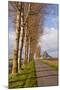 A Tree Lined Avenue Leads Towards Mont Saint Michel, UNESCO World Heritage Site, Normandy, France-Julian Elliott-Mounted Photographic Print
