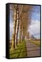 A Tree Lined Avenue Leads Towards Mont Saint Michel, UNESCO World Heritage Site, Normandy, France-Julian Elliott-Framed Stretched Canvas