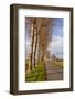 A Tree Lined Avenue Leads Towards Mont Saint Michel, UNESCO World Heritage Site, Normandy, France-Julian Elliott-Framed Photographic Print