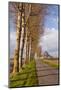 A Tree Lined Avenue Leads Towards Mont Saint Michel, UNESCO World Heritage Site, Normandy, France-Julian Elliott-Mounted Photographic Print