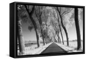 A Tree Lined Road Through Farmland in Damme Belgium Shot-Red Square Photography-Framed Stretched Canvas