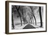 A Tree Lined Road Through Farmland in Damme Belgium Shot-Red Square Photography-Framed Photographic Print