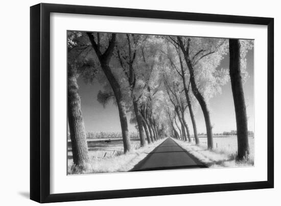 A Tree Lined Road Through Farmland in Damme Belgium Shot-Red Square Photography-Framed Photographic Print