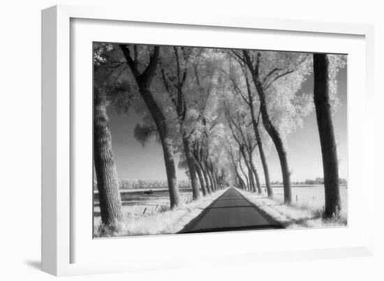 A Tree Lined Road Through Farmland in Damme Belgium Shot-Red Square Photography-Framed Photographic Print