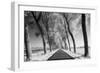 A Tree Lined Road Through Farmland in Damme Belgium Shot-Red Square Photography-Framed Photographic Print