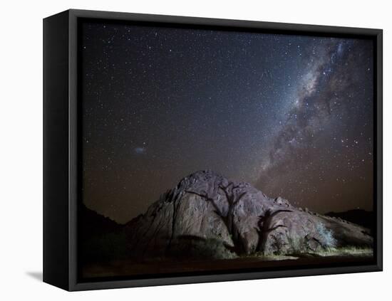 A Tree Shadow at Night under a Starry Sky with the Milky Way in the Namib Desert-Alex Saberi-Framed Stretched Canvas