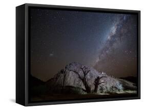 A Tree Shadow at Night under a Starry Sky with the Milky Way in the Namib Desert-Alex Saberi-Framed Stretched Canvas