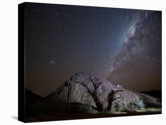 A Tree Shadow at Night under a Starry Sky with the Milky Way in the Namib Desert-Alex Saberi-Stretched Canvas