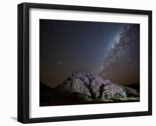 A Tree Shadow at Night under a Starry Sky with the Milky Way in the Namib Desert-Alex Saberi-Framed Photographic Print